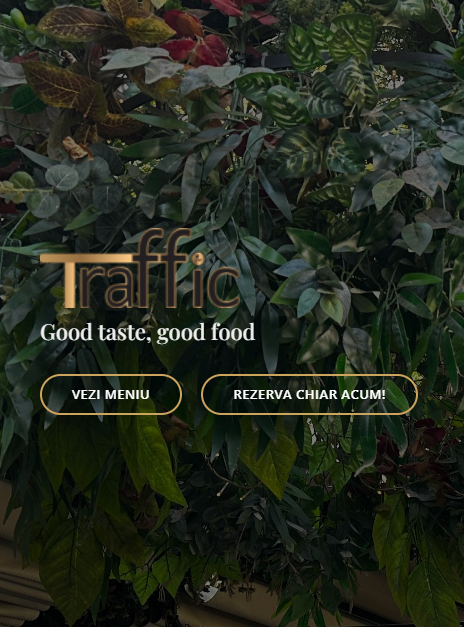 Optimizare Website